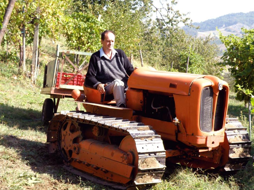 Agriturismo Ca' Isotta Castello di Serravalle エクステリア 写真