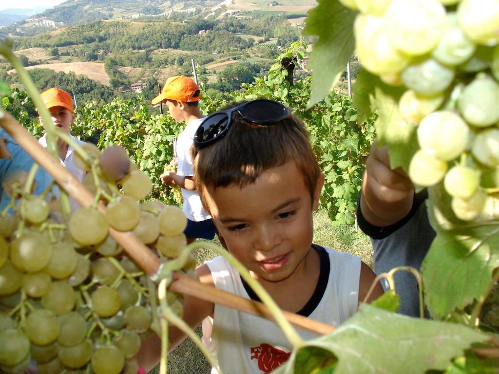 Agriturismo Ca' Isotta Castello di Serravalle エクステリア 写真
